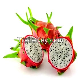 FRESH TROPICAL FRUIT IN VIET NAM DRAGON FRUIT