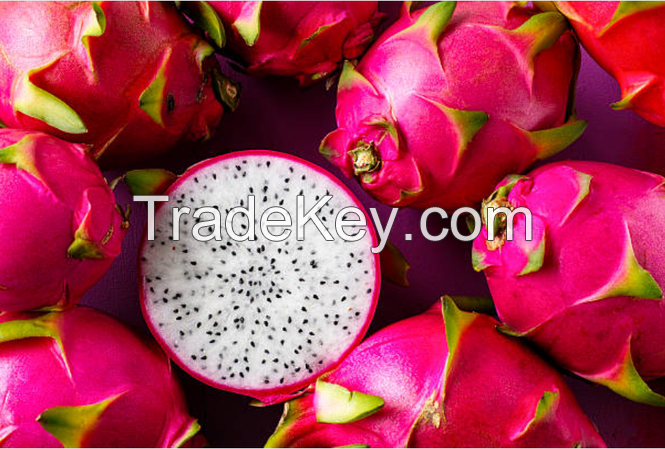 Fresh dragon fruit