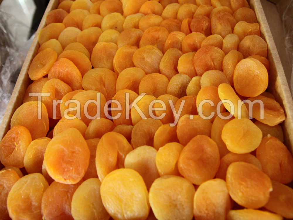 dried apricot