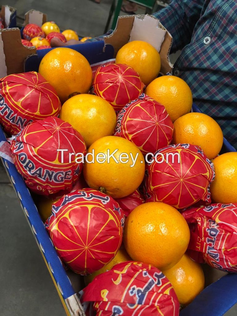 fresh orange 