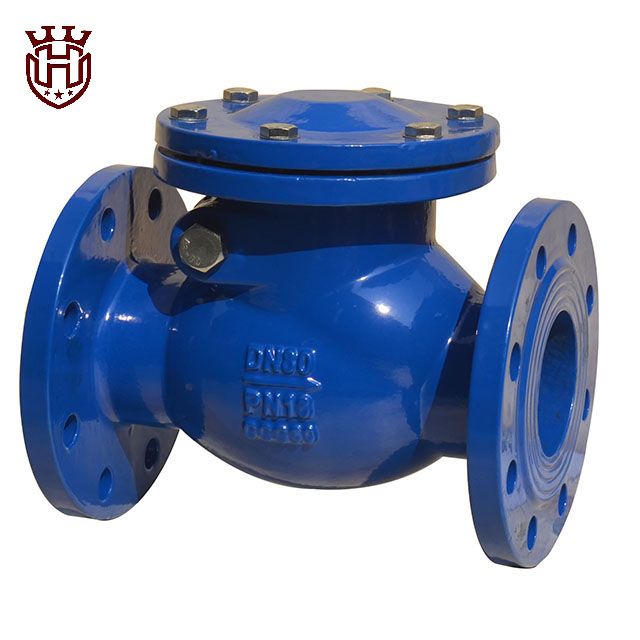 swing check valve