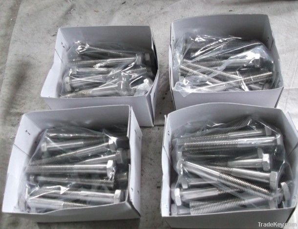 Stainless Steel Bolt