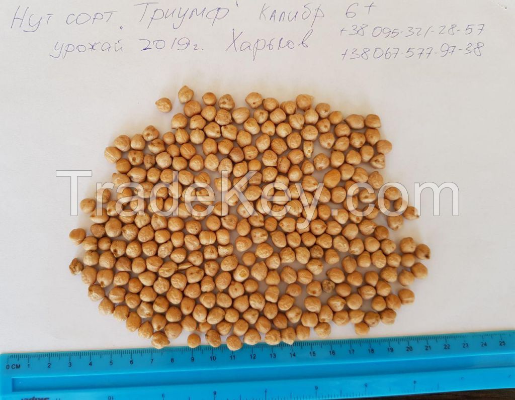 chickpeas in Ukraine