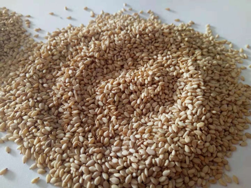 Roasted White Sesame Seed In High Quality Cheap Price