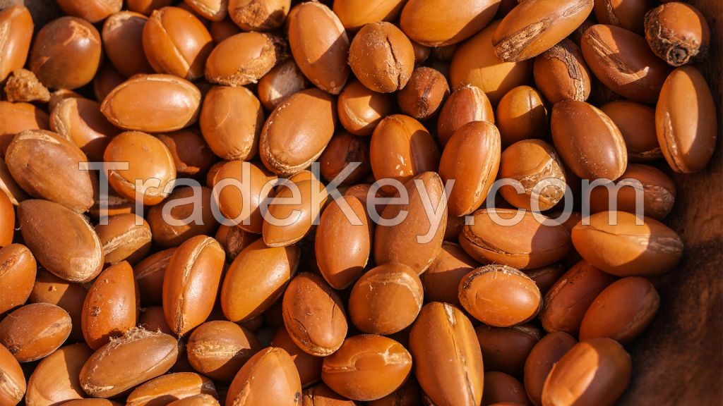 shea nuts