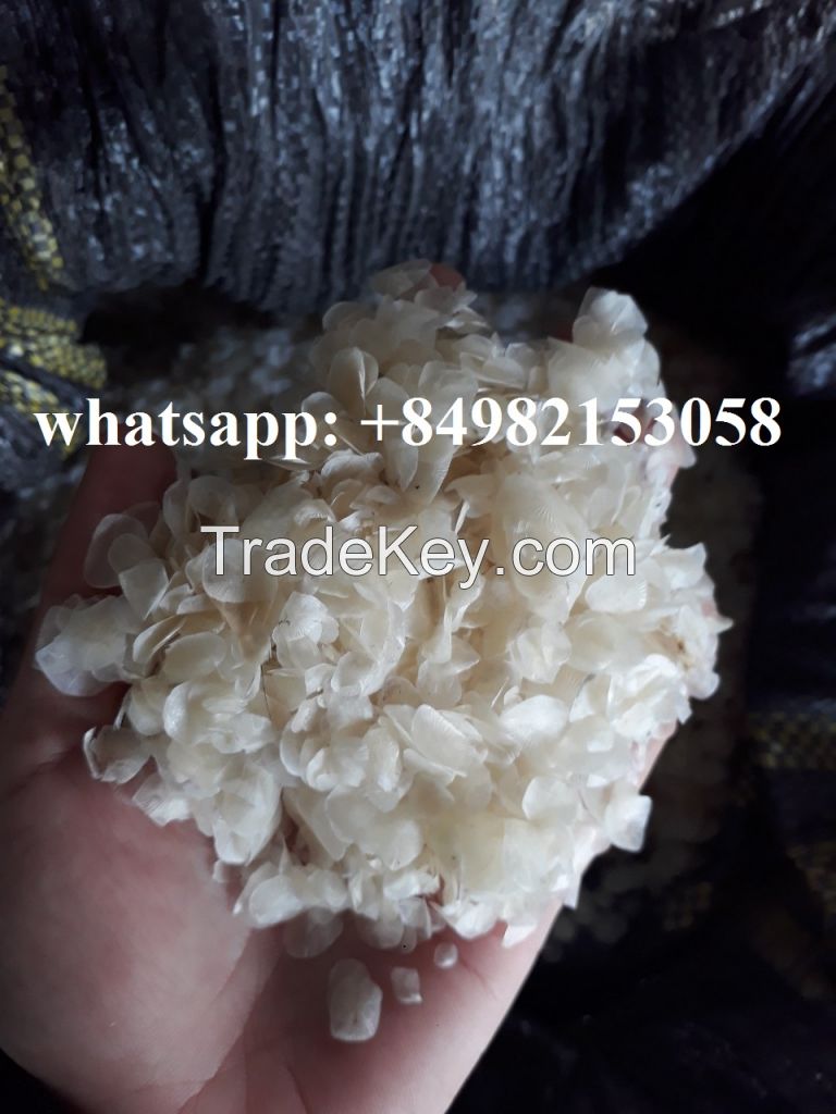 DRIED FISH SCALE//WP: +84982153058