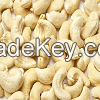 Vietnamese Cashew Nuts Kernels WW240