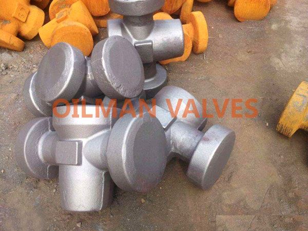 Alloy/forged Gate Valve Body