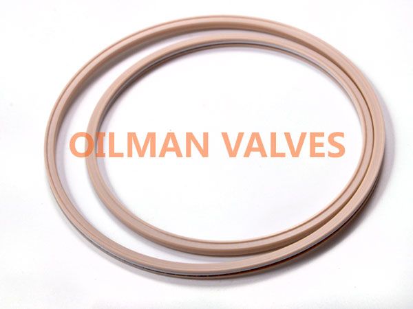 gate valve seat, seat ring, seat seal ring