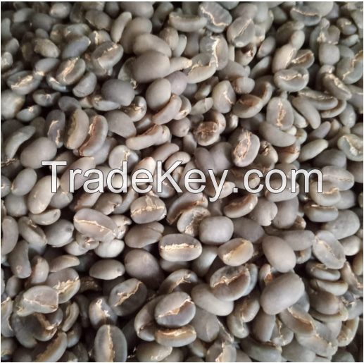 Arabica Gayo