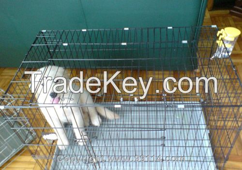 Galvanized pet cage