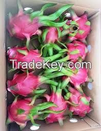 Dragon fruit