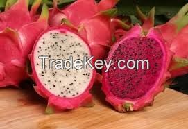 Dragon fruit