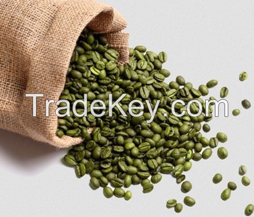 Green Arabica Coffee Beans