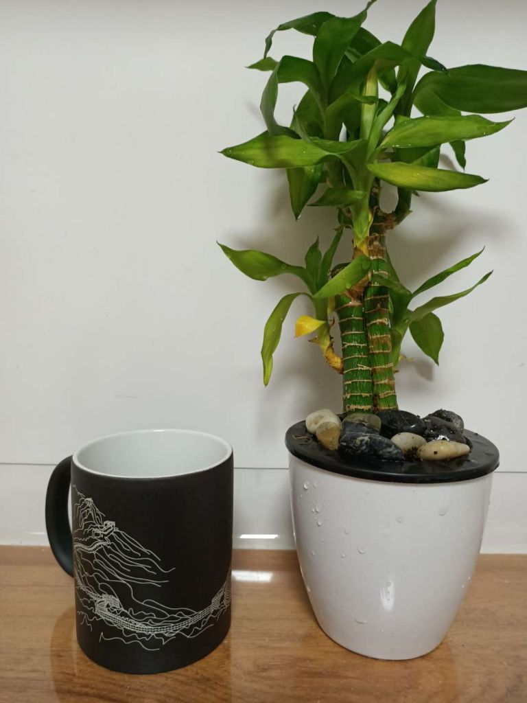 11oz magic mug  with great wall design