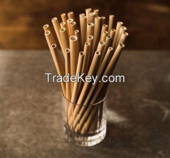 US Standard for Coffee, Restaurant, Shop Bamboo Reusable Drinking Straws