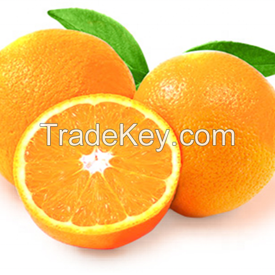 Fresh Navel Oranges From South Africa, Natural Juicy Citrus Fruits