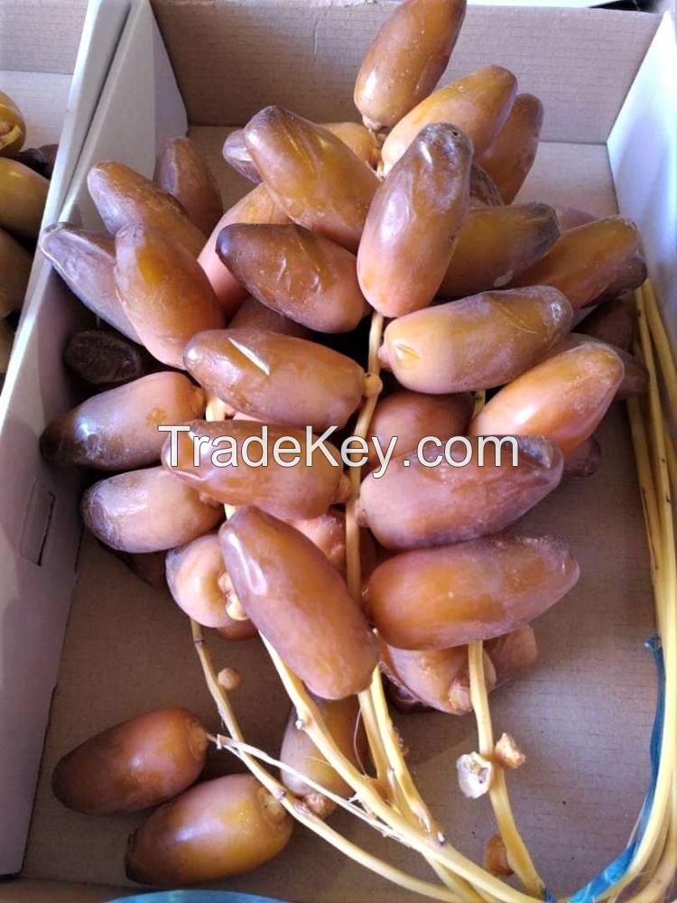 Premium Quality Top Selling Organic Dates In Affordable Price