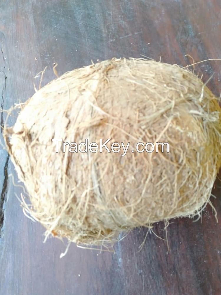  Cheap Price Fresh Mature Semi Husked Coconut From South Africa