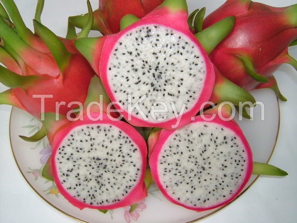  Free Sample Fresh Dragon Fruits From South Africa, Cheap Price Stock Available