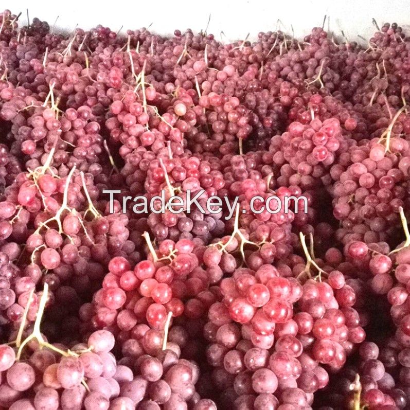  Hot Selling Top Quality Crimson Seedless Grapes For Wholesale From South Africa