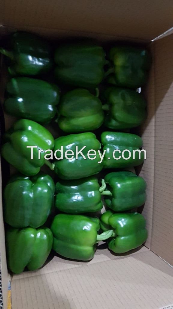 FRESH CAPSICUM (YELLOW, GREEN, RED) CHEAPEST PRICE FROM SOUTH AFRICA WHOLESALE PRICE