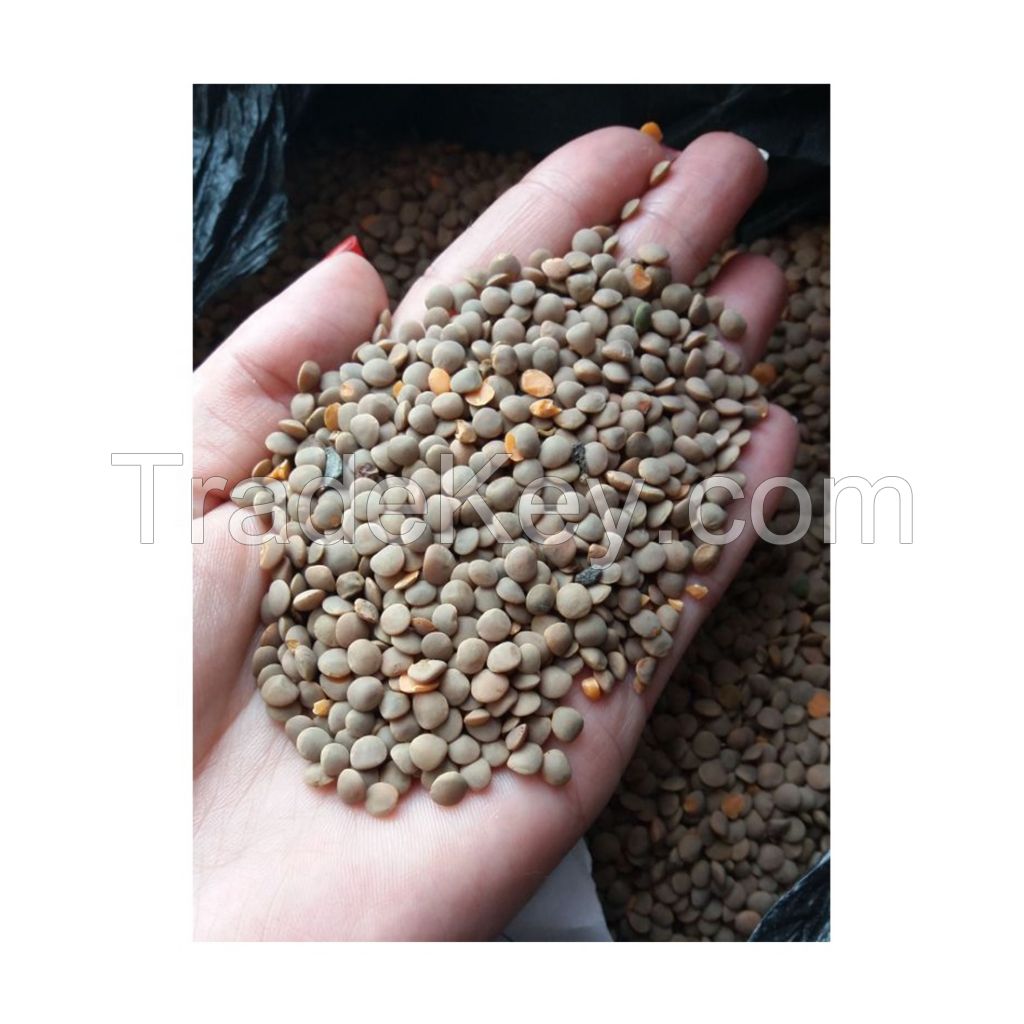 Dried Red and green lentils 