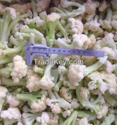 Best Oganic Selling Shandong Fresh Cauliflower And Frozen Cauliflower Products