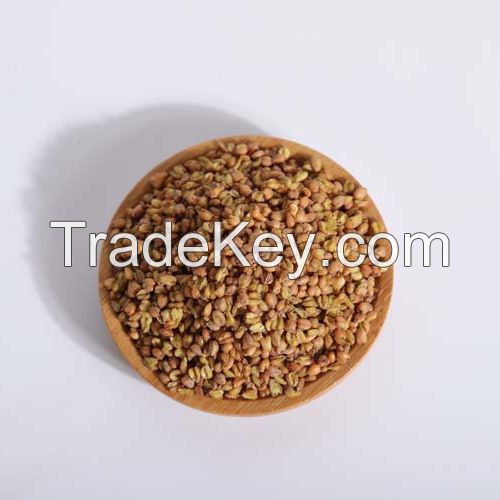 green buckwheat grain wholesale healthy buckwheat seed kernels soba black tartary buckwheat organic