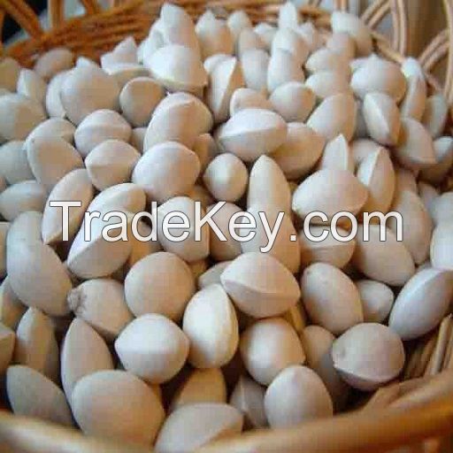 Best Selling Ginkgo Nuts Fresh Raw Ginkgo Nuts Medical BULK Style Packaging Color Material Natural half opened sales