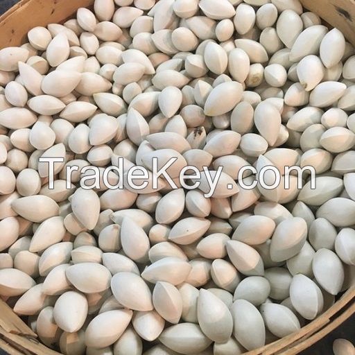 Best Selling Ginkgo Nuts Fresh Raw Ginkgo Nuts Medical BULK Style Packaging Color Material Natural half opened sales