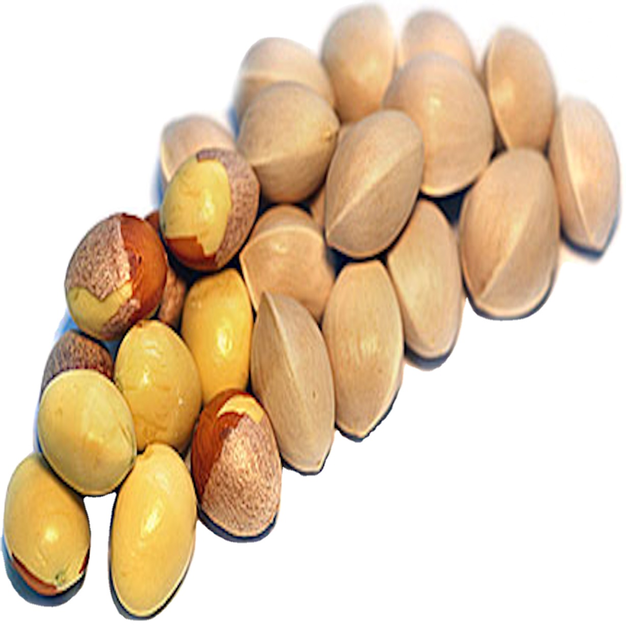 Best Selling Ginkgo Nuts Fresh Raw Ginkgo Nuts Medical BULK Style Packaging Color Material Natural half opened sales