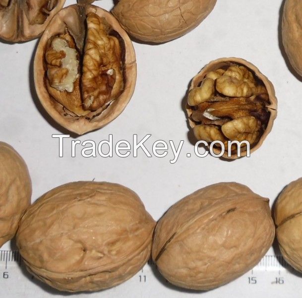 South Africa High quality whole hulled pieces Walnuts with Thin Shell or walnut kernels