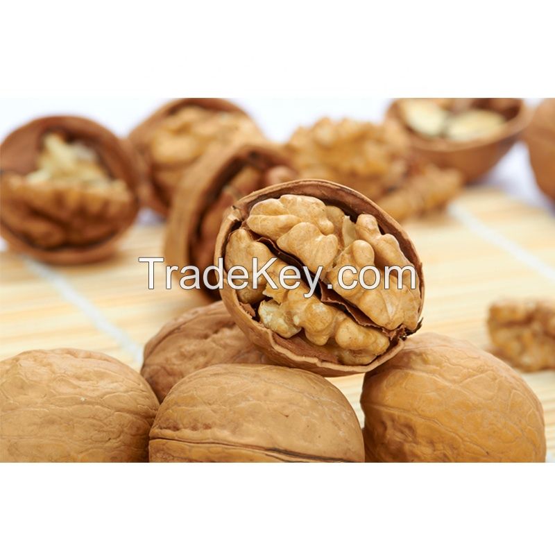 Walnut Odor Raw Hot Sale Fresh Full of Nutrition Healthy Food Bulk in Shell Walnuts 28-32mm++