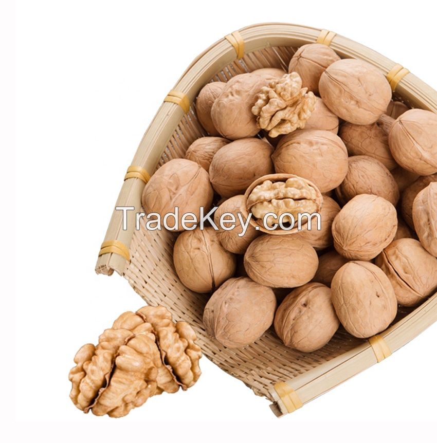 Walnut Odor Raw Hot Sale Fresh Full of Nutrition Healthy Food Bulk in Shell Walnuts 28-32mm++