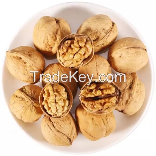 Walnut Odor Raw Hot Sale Fresh Full of Nutrition Healthy Food Bulk in Shell Walnuts 28-32mm++