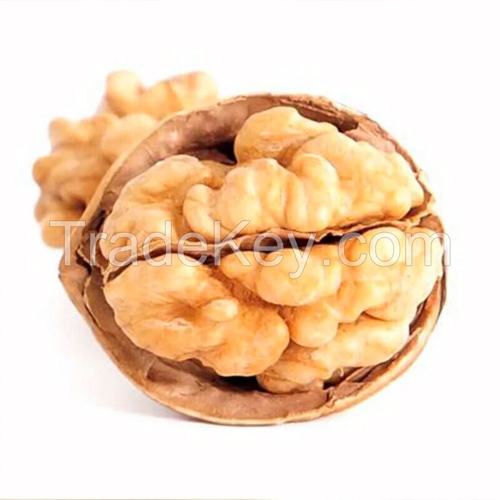 Walnut Odor Raw Hot Sale Fresh Full of Nutrition Healthy Food Bulk in Shell Walnuts 28-32mm++