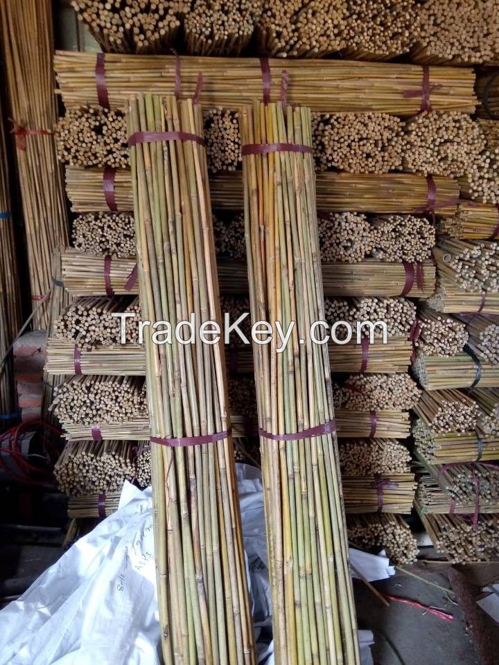 Agriculture Bamboo Sticks Raw Bambou Poles for Nursery Planting/Custom Bamboo Timber Material