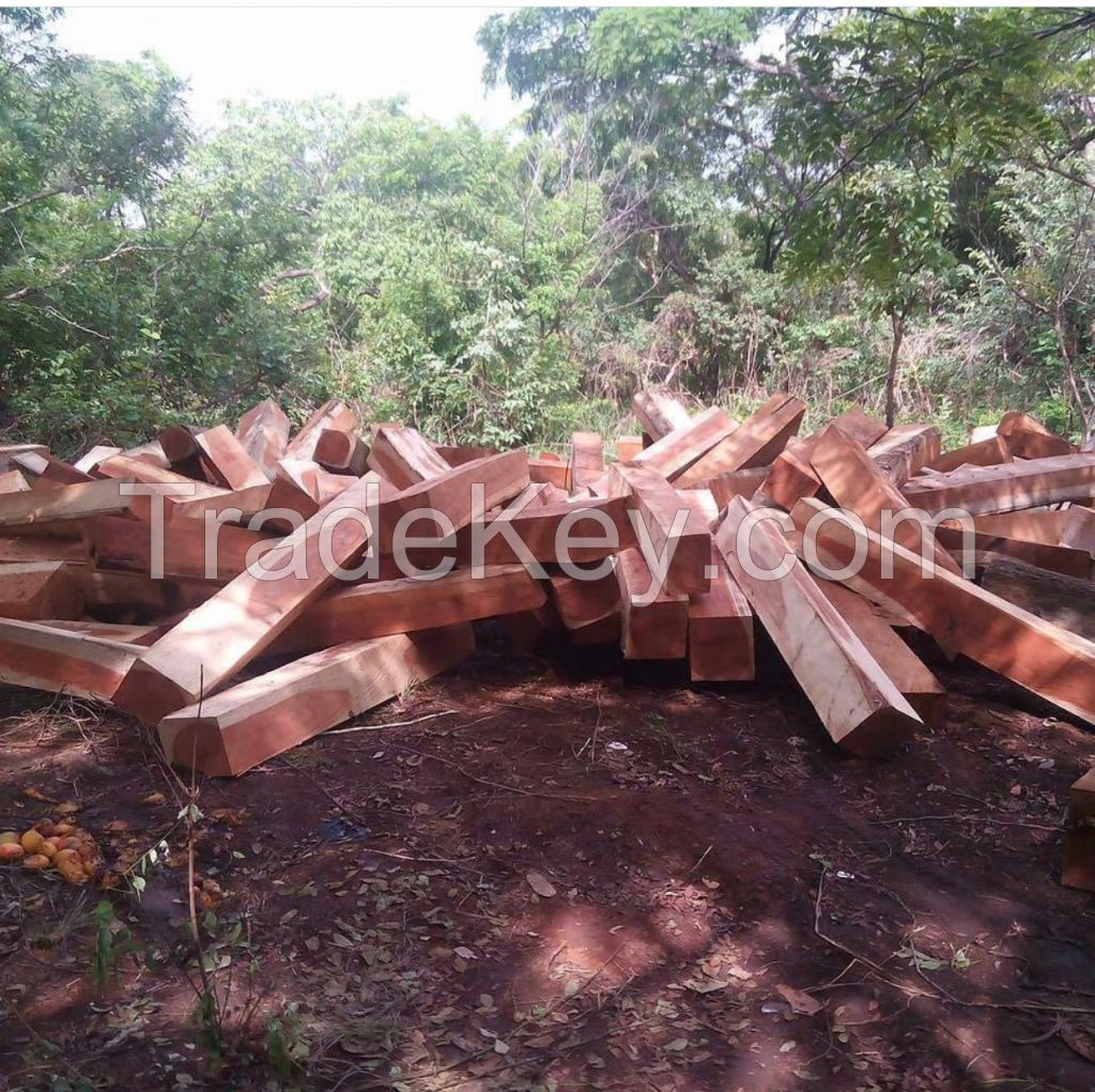 Sawn Timber logs/Teak Wood/Beech Round Logs South African Origin Available For Sale