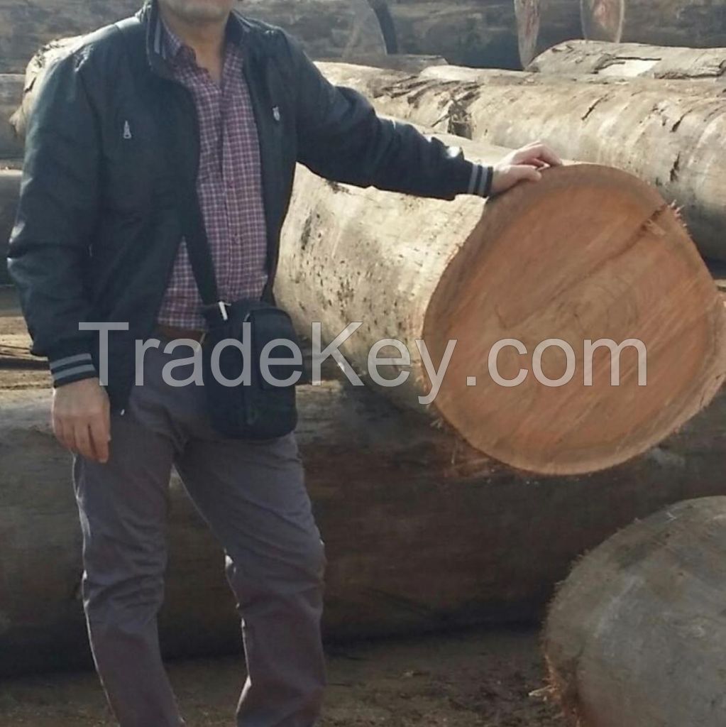 Sawn Timber logs/Teak Wood/Beech Round Logs South African Origin Available For Sale