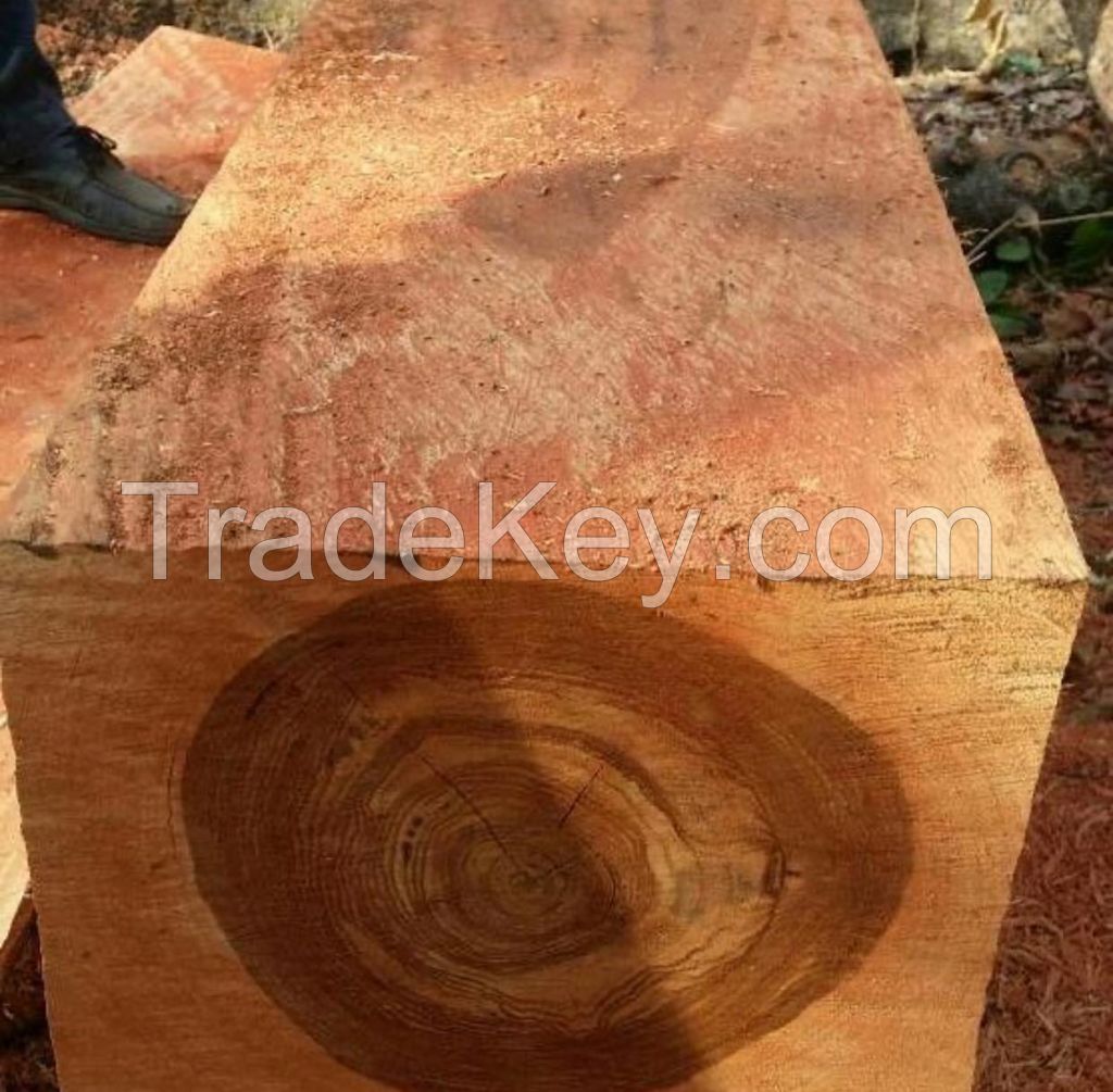 Sawn Timber logs/Teak Wood/Beech Round Logs South African Origin Available For Sale