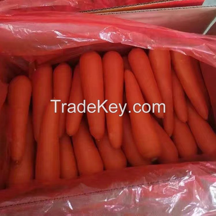 Manufacturers Provide Good Price Non-peeled Carrots Fresh Carrots For Sale