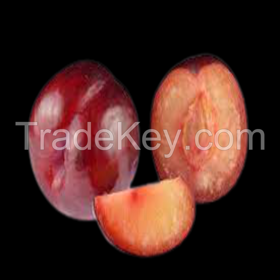 Fresh Plums Specialty Snack Food Dried Dark Plum Halves Frozen for Juice Best Herbal Tea Slimming Lose Weight Tea Syrup of Plum