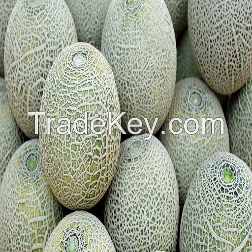 Natural Royal Fresh Watermelon Fruit For Sale Fresh Water Melon