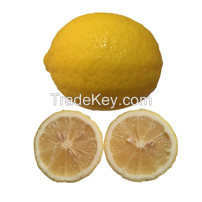 Wholesale Best Price fresh fruits Fresh Citrus Fruit Lemon