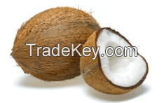 COCONUT