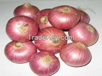 onion