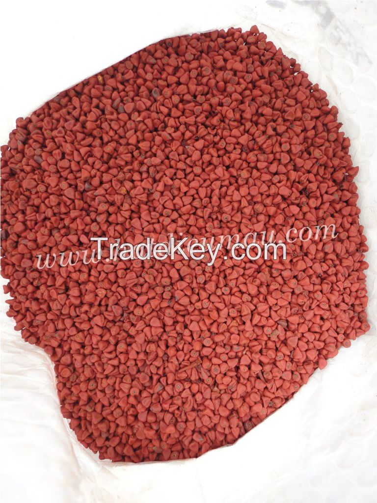 ANNATTO SEEDS - whatsapp no : +84903887753