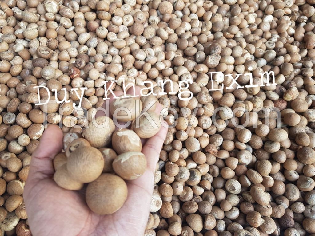 Areca (Betel) Nut - WHATSAPP +84903887753