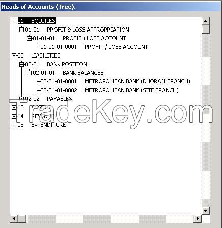 Financial Accounting System / GL